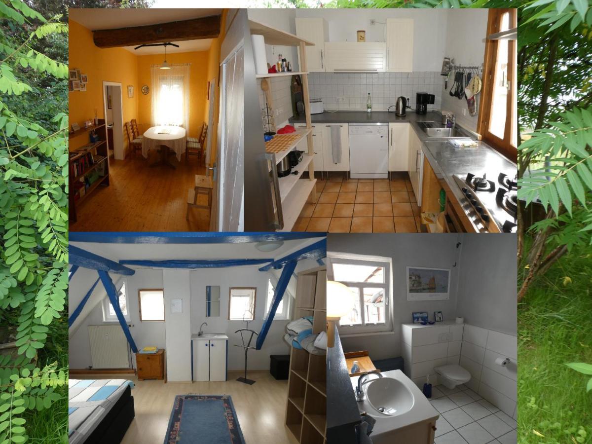 Appartamento Am Backhaus Krofdorf-Gleiberg Esterno foto